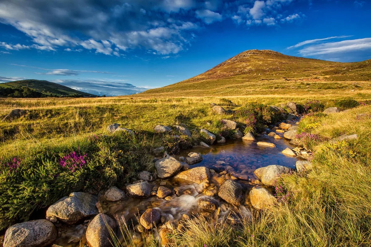 Die Causeway-Küste & Glens of Antrim